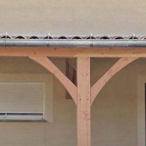 Appentis (35M²) en Pin Douglas (1)