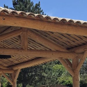 Auvent (70M²) en fuste Pin Douglas (3)