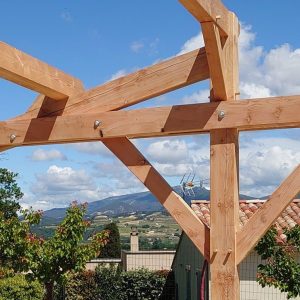 Carport de 50M² en Pin Douglas (2)